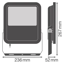 LDV_4099854306167.jpg