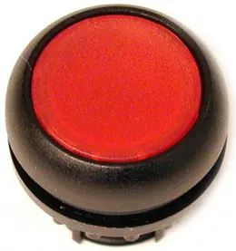 EA_116A169.jpg
