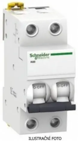 SCH_iC60L_2P_ilustr.jpg
