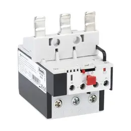 RF110082.jpg