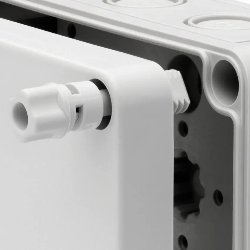 SPE_19000101Detail_V1.jpg