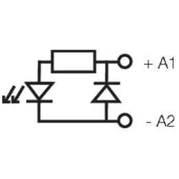 WM_88695900008100.jpg