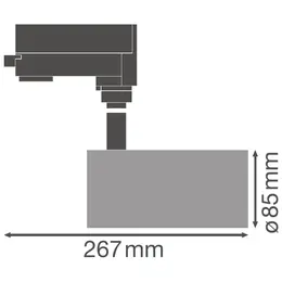 LDV_asset-3259958.jpg