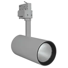 LDV_asset-3264167.jpg