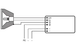 LDV_asset-303495.jpg