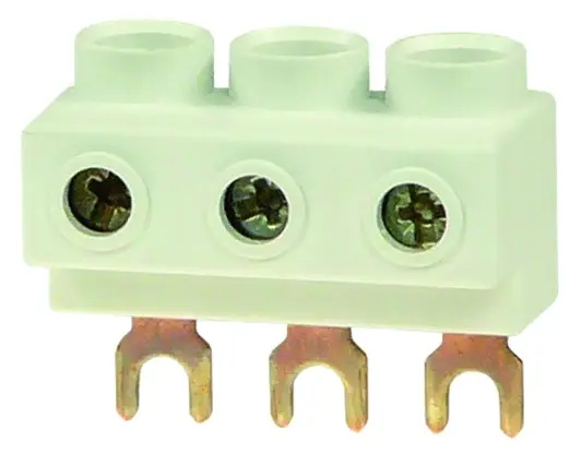 OEZ_CONTEO_ESB-G-MS2.jpg