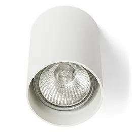 AUL_R12667_3.jpg