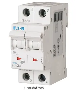 EA_sg09712_ilustr.jpg