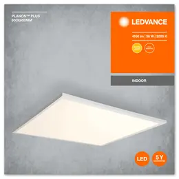 LDV_4058075601291_255.jpg