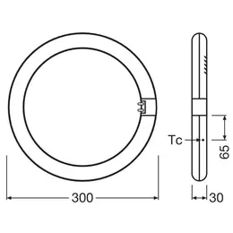 LDV_4099854042546.jpg