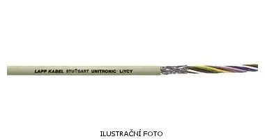 LAP_0034310_ilustr.jpg