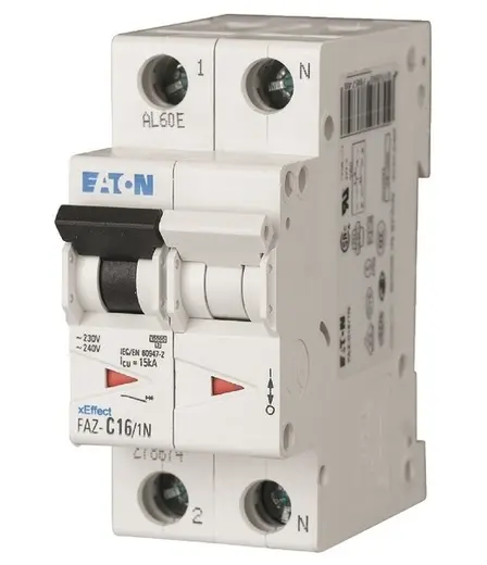 EA_sg55612.jpg