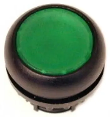EA_216597.jpg