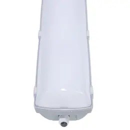 83738647_TREVOS_Foto6.jpg