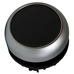 SCHR_f_mm216590--.jpg