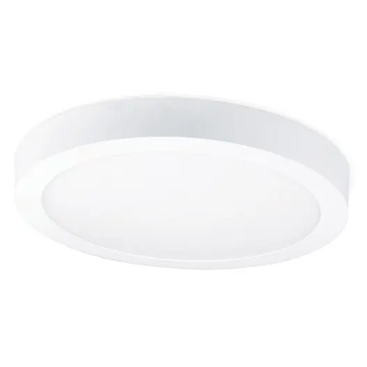 AUL_disc-surface_w.jpg