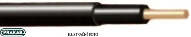 PRA_CYY_ilustr.jpg