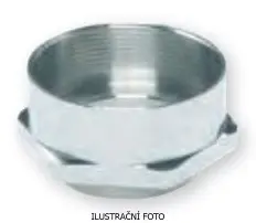 ELQ_MSM2025_ilustr.jpg