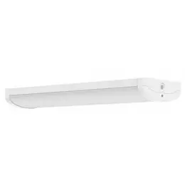 LDV_asset-13074320.jpg
