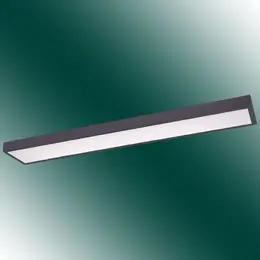 CO_91324708.jpg