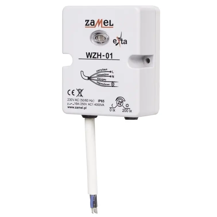 TYM_1AWZH-01_2.jpg