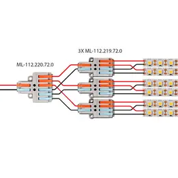 MCL_2109565.jpg