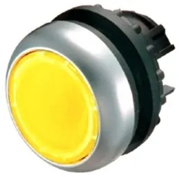 EA_216950.jpg