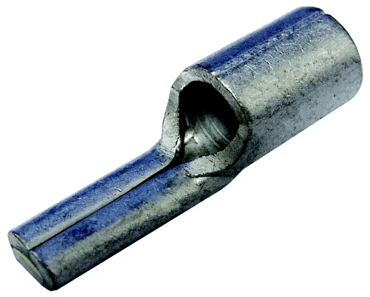 WM_1492780000.jpg