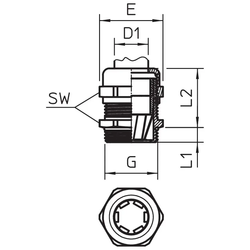 OBO_2086165_MZ1.jpg