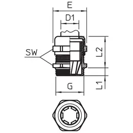 OBO_2086165_MZ1.jpg