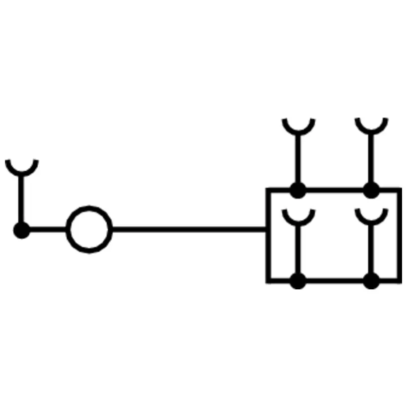 WM_PV_198819000091.jpg