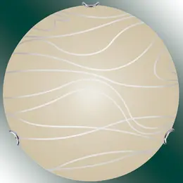 CO_91272346.jpg