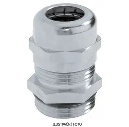 LAP_52015720_ilustr.jpg