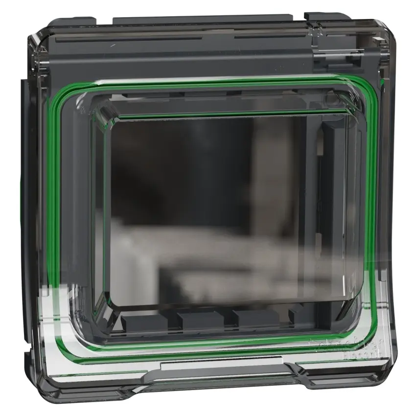 SCH_MUR35110_IoPdef_PMP19.jpg