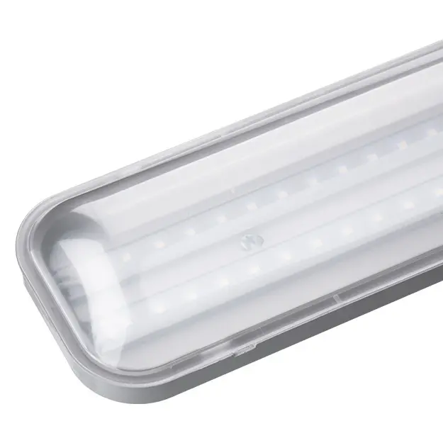 PAN_MANDRAVA_LED_NAHLED.jpg