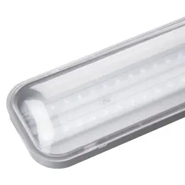 PAN_MANDRAVA_LED_NAHLED.jpg