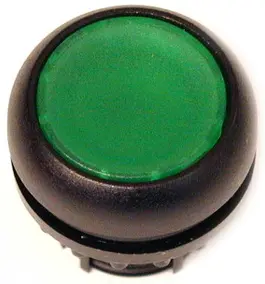 EA_116A170.jpg