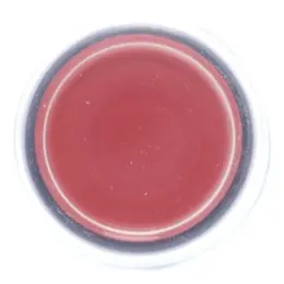 SCH_ZB5AP4_360_Front_1500x1500.jpg
