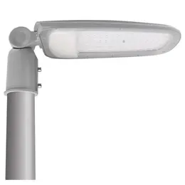 EM_2430034.jpg
