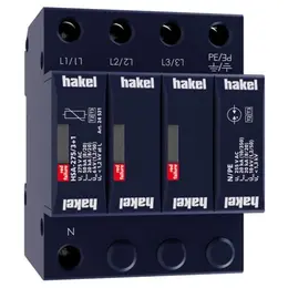 HAK_HSA-275-3-1-24531.jpg