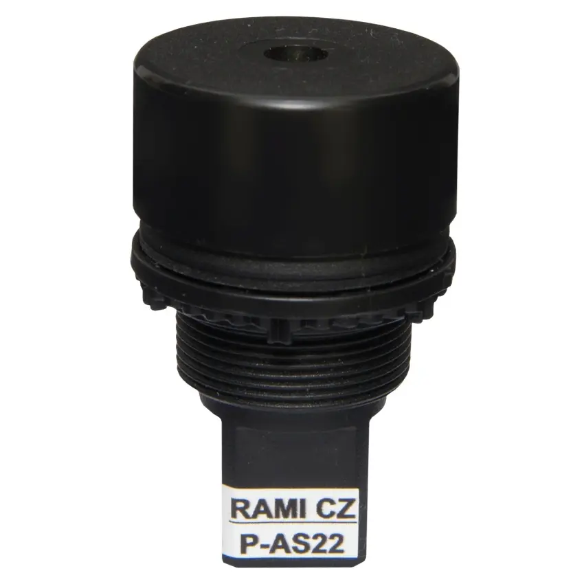 RAMI_P-AS22.jpg