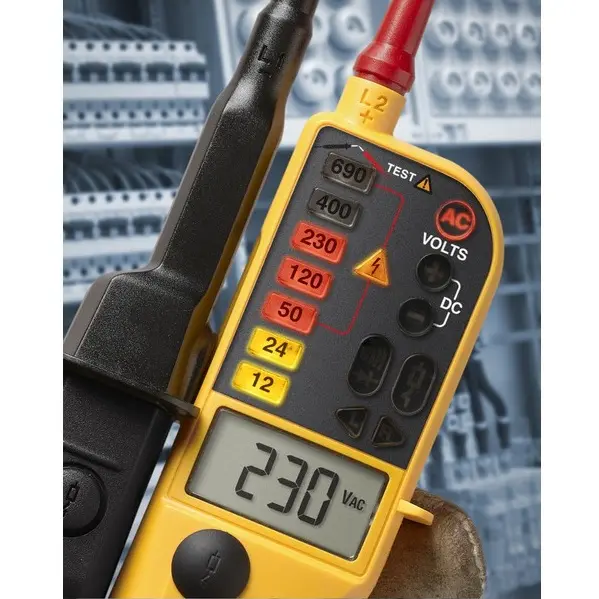 GHV_1267-fluke-t150_p2.jpg