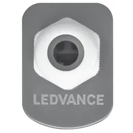 LDV_asset-2248352.jpg