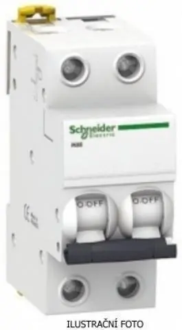 SCH_iC60L_2P_ilustr.jpg