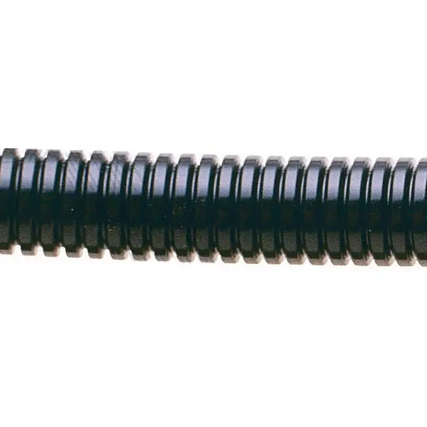 AXI_PRFS21.jpg