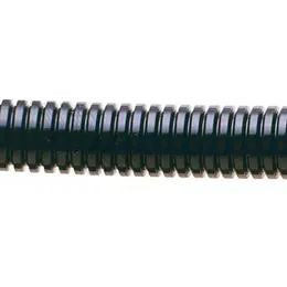 AXI_PRFS21.jpg