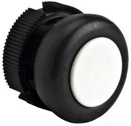 SCH_XACA9411.jpg