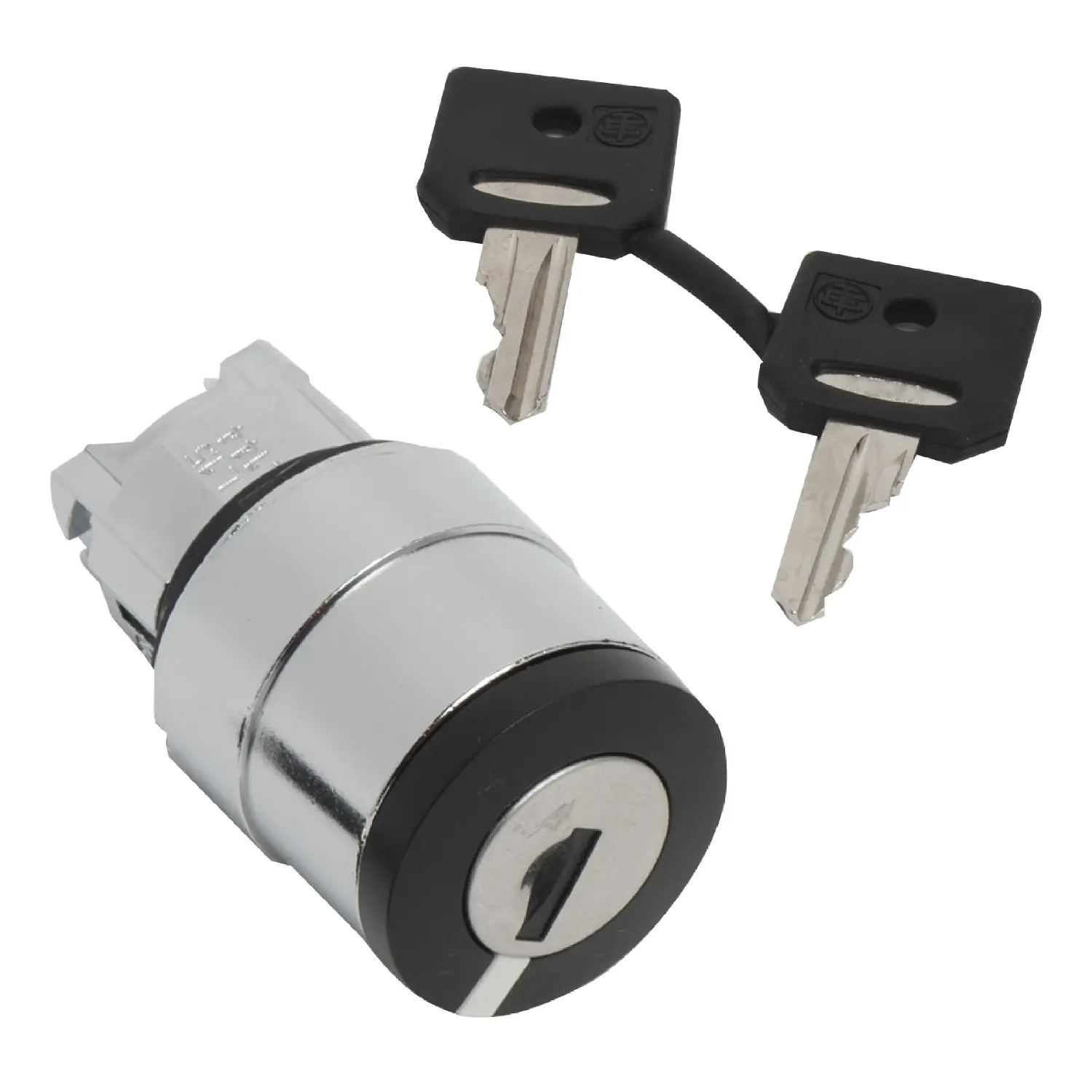 ZB4BG410__1500.jpg
