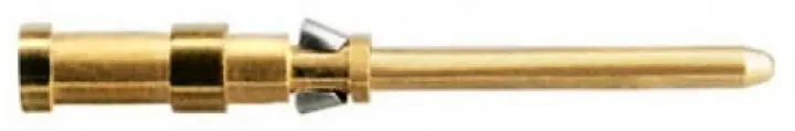 WM_16516400009999.jpg