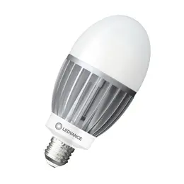 asset-13100955.jpg